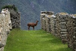 machu-picchu-1018768 640