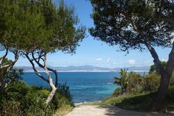 raymonddelaat-malorca-2295560 1280